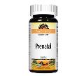 Prenatal